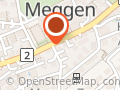 orggan ag
