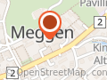Spitex-Verein Meggen