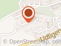 Elisabeth Schiess Brunner