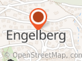 Hotel Edelweiss Engelberg AG