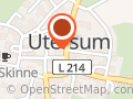Reetstern Utersum