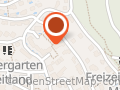 Speednet Services, Kurt Zellweger