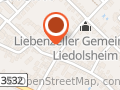 IT Berater-Theo Gottwald