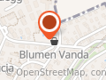 Blumen Vanda