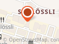 Swiss Trans Group GmbH