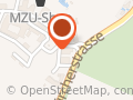 PonyPlausch Champi