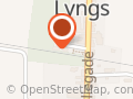 Lyngs Station