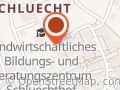 beherzt führen