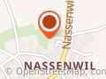 Walter Autoelektro Ott Nassenwil