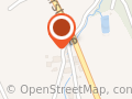 Katharina Forster