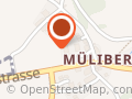 Bollier-Massagen (Mobile Massage / Krankenkassenanerkannt)