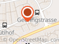 Tierfahrdienst Meister Zürich