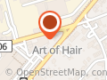 Art Of Hair  Selin