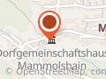 Dragon Gym Königstein im Taunus Mammolshain