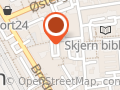 Skjern Radio og Tv
