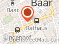 Salzmann Hair Group Baar AG