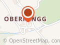Urs Geiger, Vertretungen