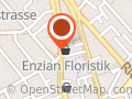 Enzian Floristik
