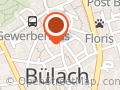 Blumen Fleurs Reichenbach & Co