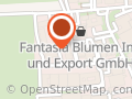 Brumby Shop Chauimex