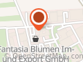 A.M.M. Shuttle & Limousinen Service GmbH