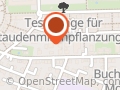 Therapeutische Massage bei Revivere Therapie