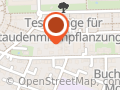 Revivere PHYSIO-Therapeutische Massage