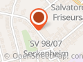 Sportverein 1898/1907 Mannheim -Seckenheim