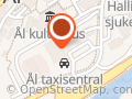 Viken Ål Taxi