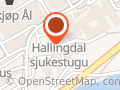 Hallingstugu Borgny-Solveig Etterlid