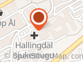 Hallingdal Sjukestugu