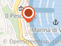 International Company Marine