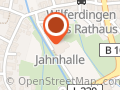 Remchingen Racoons