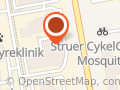 Struer's Friske Bilhus