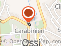 Evolution Area Wellness Ossi