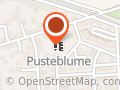 Kita Pusteblume