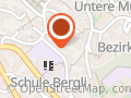 Merz DirectorsCut