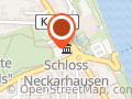 Schloss Neckarhausen