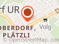 Peter Ziegler, Holzhandel und Holztransporte