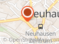 Central-Theater, Das Theater am Rheinfall