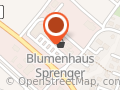 Bubble Zauber - Riesenseifenblasenkünstler mit Shop