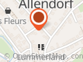 Single-Leben-Adé