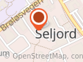 Nav Seljord