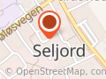 Seljord kulturskule