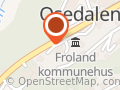 Tiger AS Avd Osedalen Veiservice