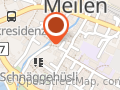 Personal Training Meilen Nici Jordi Strong Performance