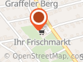 Der Fahrzeugprüfer