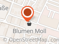 Blumen Moll