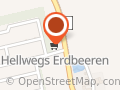 Hellwegs Erdbeeren