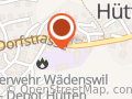 SwissWEBFLEET